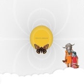 Image of Death Sentence: Panda! 'Insects Awaken' CD / LP