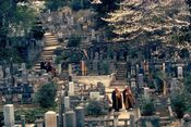 Image of Ancestors - Ottawara,Japan-1982