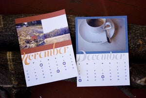 Image of 2011 Calendar