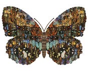 Image of Sharon Elphick<br>Butterfly (small)