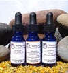 Image of Gem Elixirs for Chakra Balancing