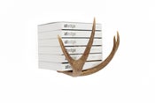 Image of Dewey Decimal