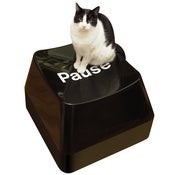 Image of Funkey Stool