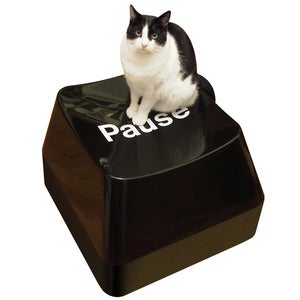 Image of Funkey Stool