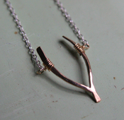 Image of Wishbone Necklace