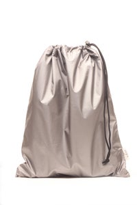 Image of Active Silver Shoe Bag