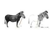 Image of Z is for Zebra Print
