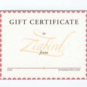 Image of Gift Certificate $250
