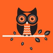 Image of Owl