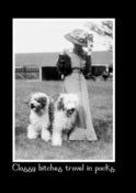 Image of Classy OES & Pomeranian