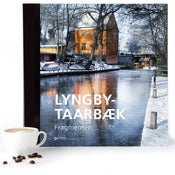 Image of Lyngby Taarbæk  -  Fragmenter