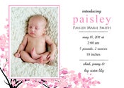 Image of Little Blossom Birth Announcement