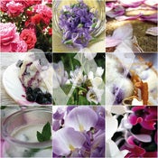 Image of things that make me happy.2 {lilac & rose}