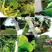Image of things that make me happy.3 {green}