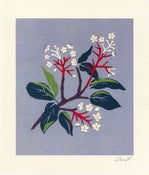 Image of Danit Design - White Flowers Branch