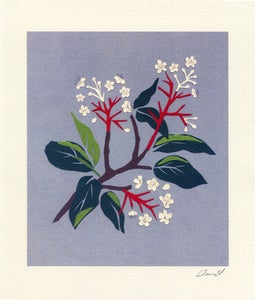 Image of Danit Design - White Flowers Branch