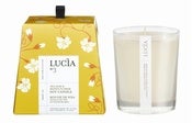 Image of lucia 50 hour soy candle