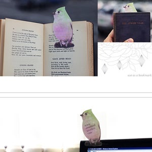 Image of StandardNumber Bird Memo