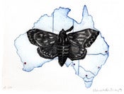 Image of Australia by Clare Whitney
