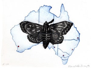 Image of Australia by Clare Whitney