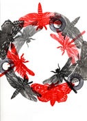 Image of Insect Song by Clare Whitney