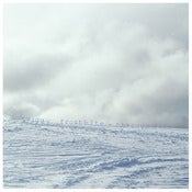 Image of Twiggy Frostbite - Through Fire [CD]