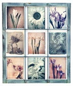 Image of POLAROID: GOING, GOING...NOT QUITE GONE!  (VIDEO WORKSHOP)