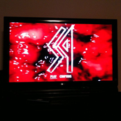 Image of Stink Pit DVD + You Got That.