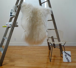Image of Large White Icelandic Sheepskin