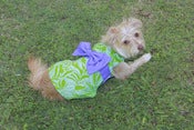 Image of Kimono (Bow) - B22 - Hokulani Aloha