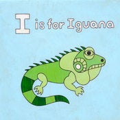 Image of Iguana Art Prints