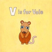 Image of Vole Art Print