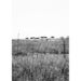 Image of VALERIE PHILLIPS FIELD SCREEN PRINT