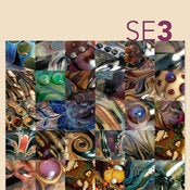 Image of SE3 – Third Silver Color How To eBook