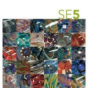 Image of SE5 – Fifth Silver Color How To eBook