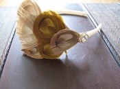 Image of BROOKLYN peacock headband-Small