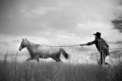 Image of Vaquero