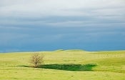 Image of Montana