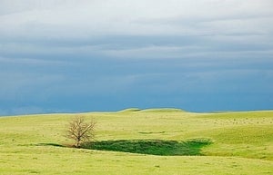 Image of Montana