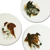 Image of BEST IN PARK Wall Tiles