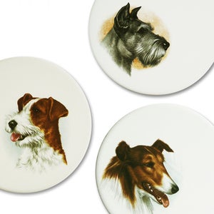Image of BEST IN PARK Wall Tiles