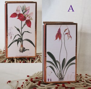 Image of Orchid Matchbox, Pink & Purple
