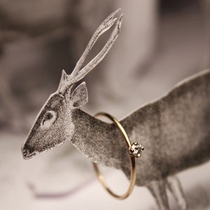 Image of 'little diamond' ring
