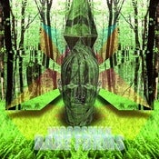 Image of Woodsman - RARE FORMS - (12 Inch LP)