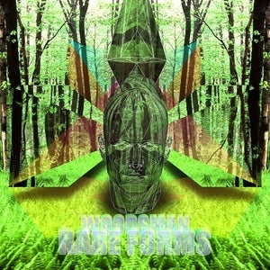 Image of Woodsman - RARE FORMS - (12 Inch LP)