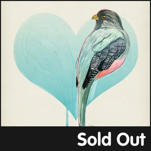 Image of Sam Gilbey Trogon Bird Prints