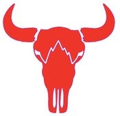 Image of MSC Skull Sticker - Die Cut