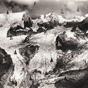 Image of Cold Pumas - Jela 12" HFP0001