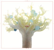 Image of Fawn in Upturned Roots Print