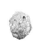 Image of Meteorite Print